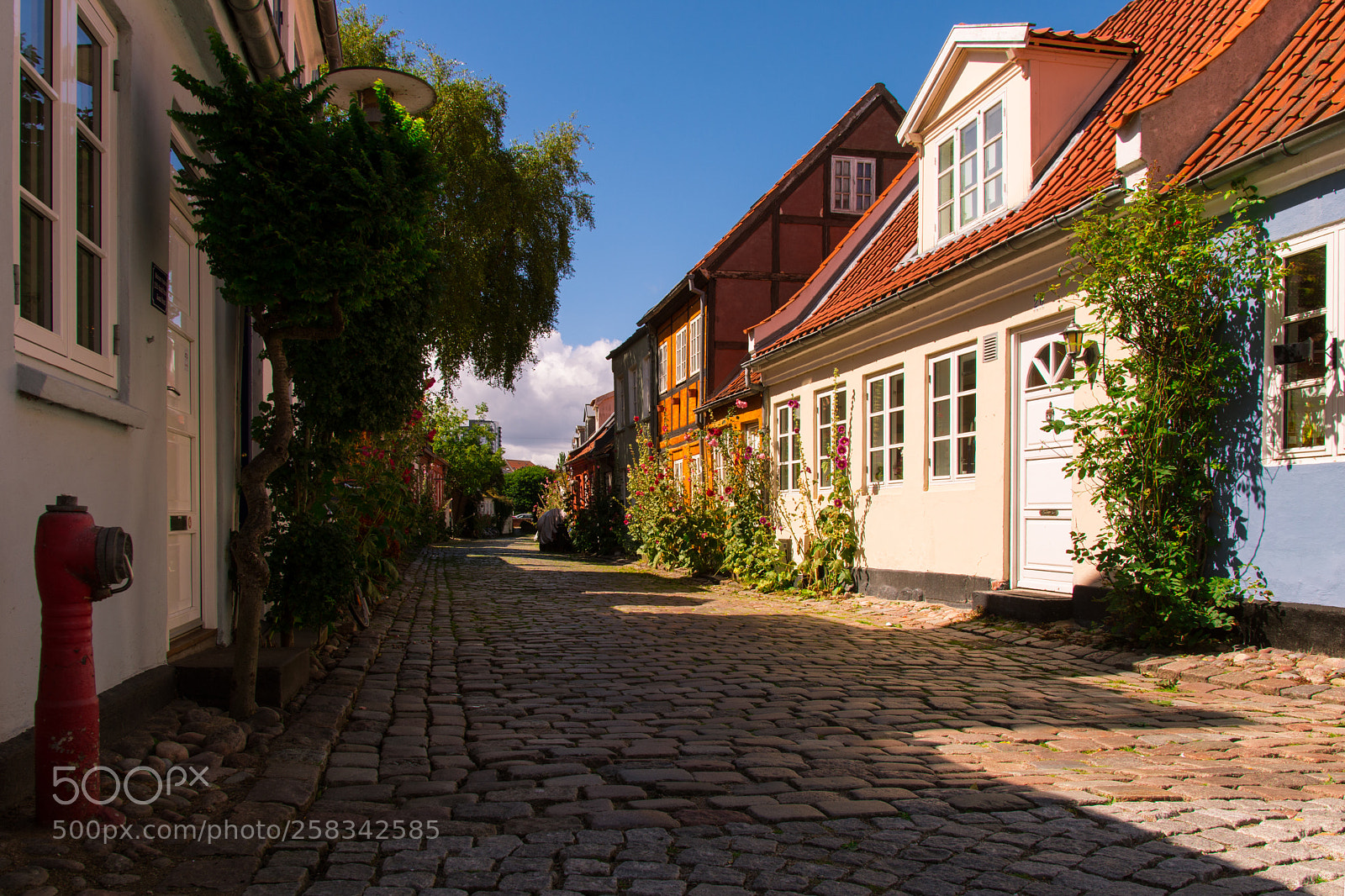 Nikon D7200 sample photo. Colorful houses photography
