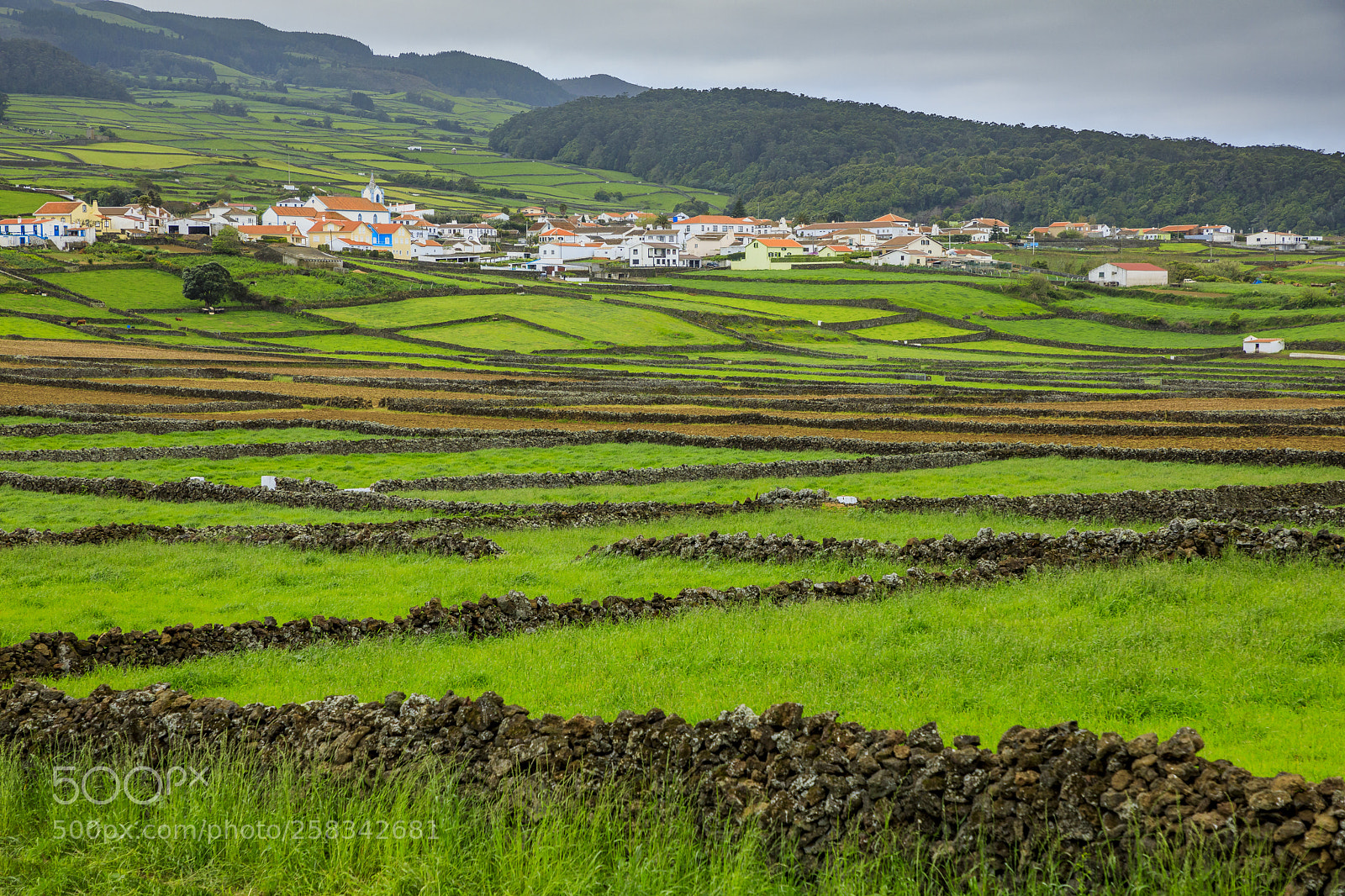 Canon EOS 5D Mark IV sample photo. Açores-terceira-altares photography