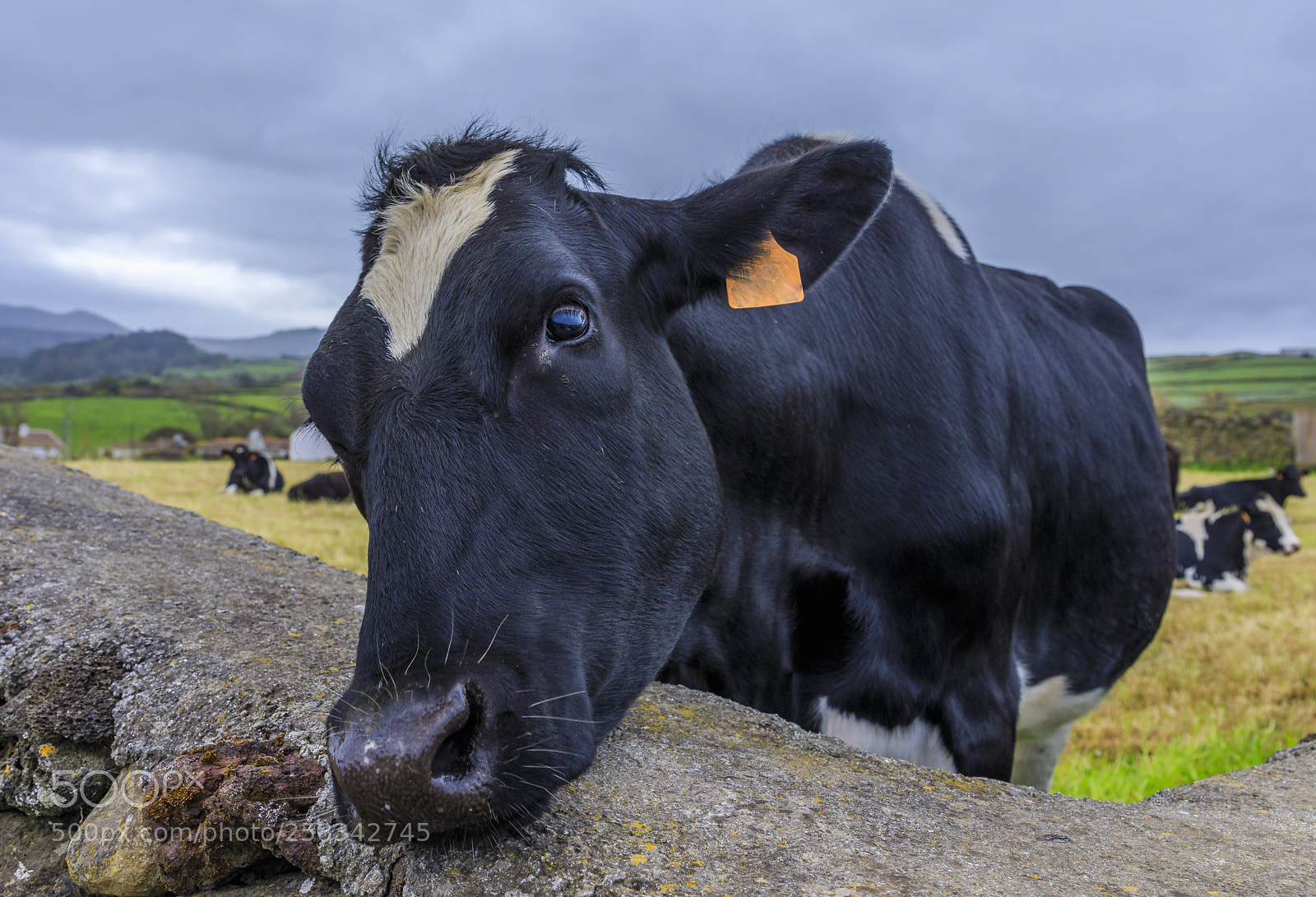 Canon EOS 5D Mark IV sample photo. Açores-terceira-altares photography