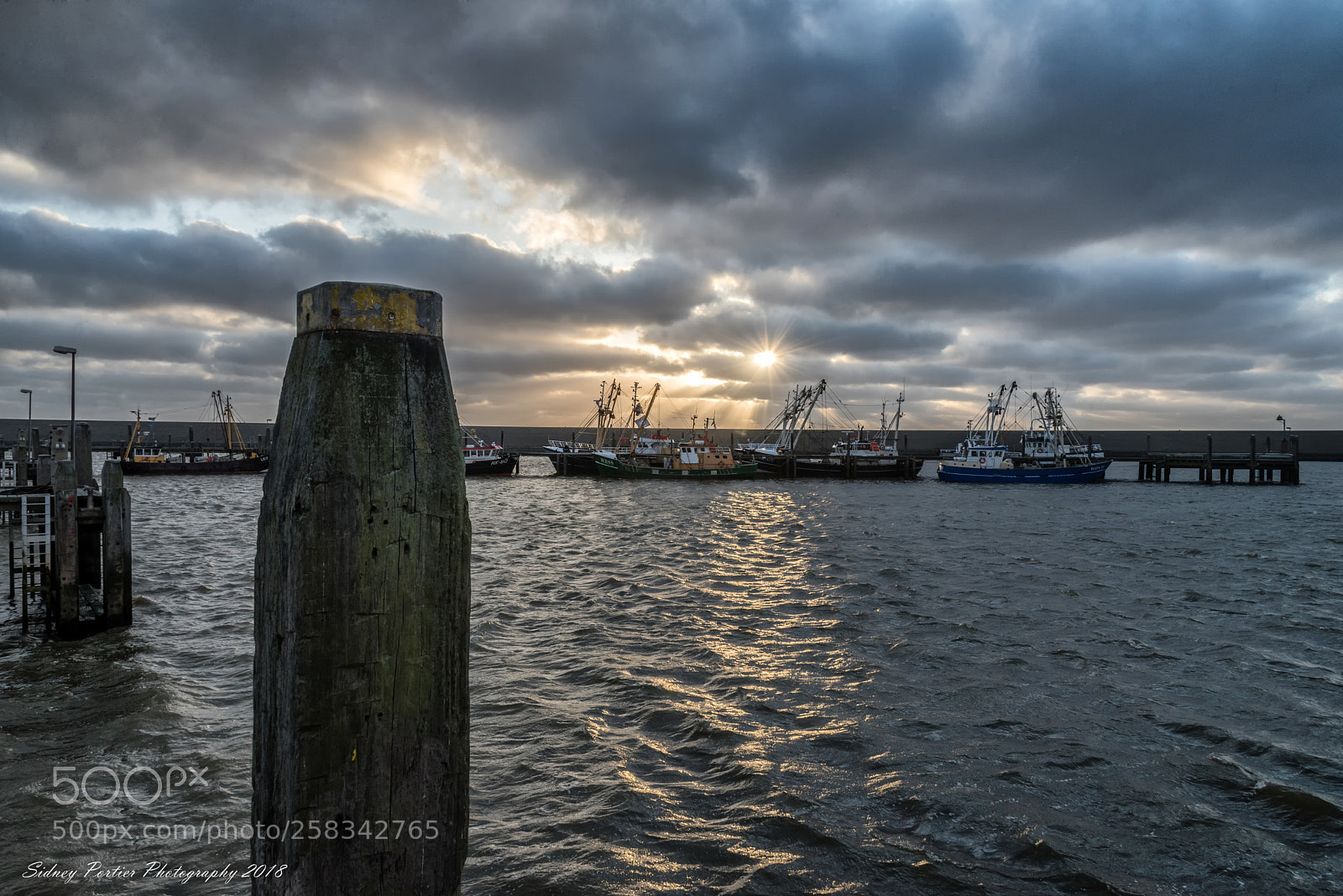 Nikon D600 sample photo. De vissershaven in harlingen photography