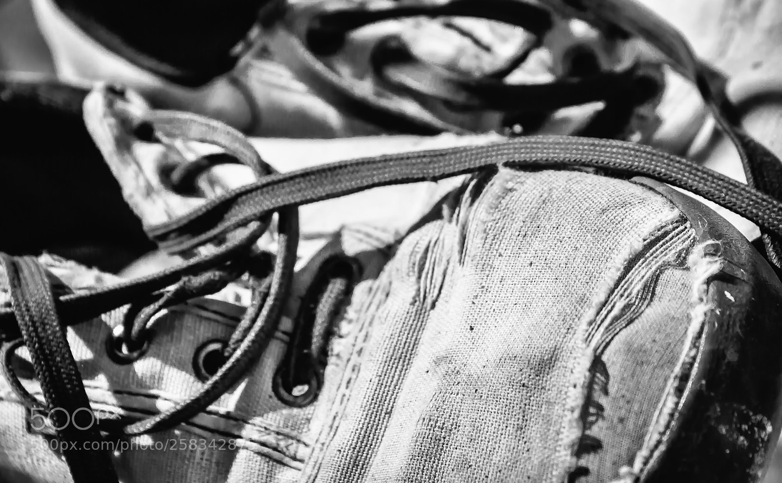 Canon EOS 1000D (EOS Digital Rebel XS / EOS Kiss F) sample photo. Tear sneakers photography