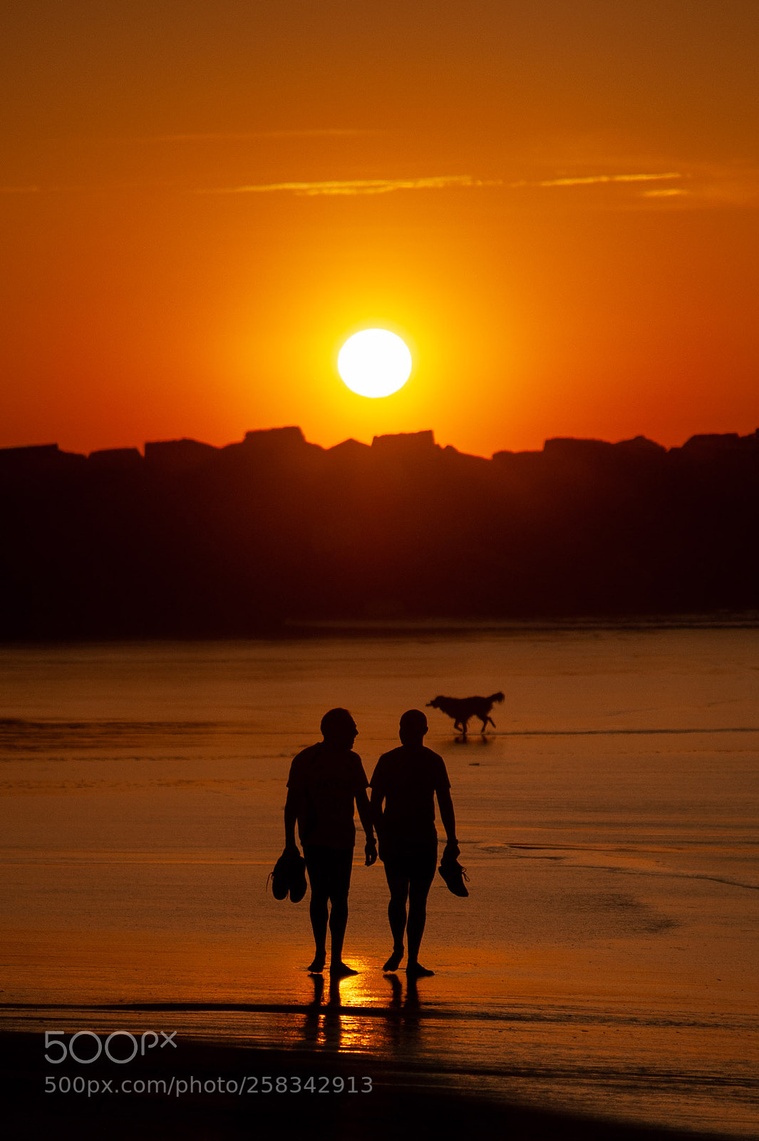 Nikon D700 sample photo. Confessions at sunset photography