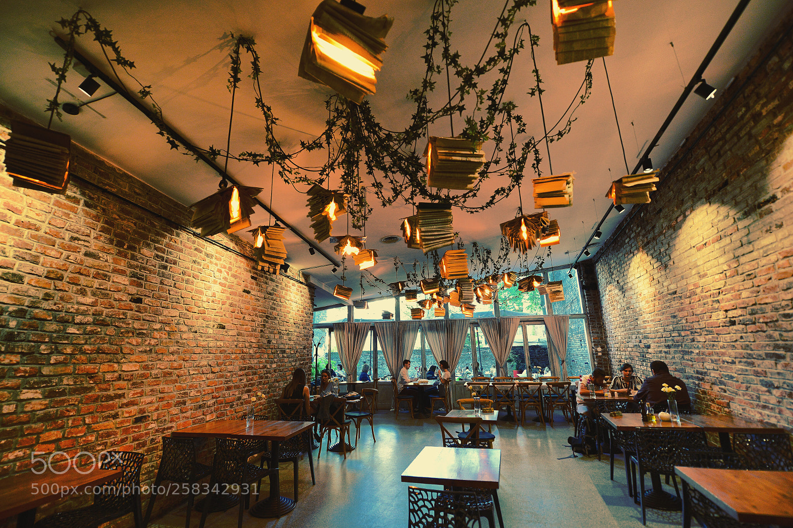 Nikon D800 sample photo. Untitled photography