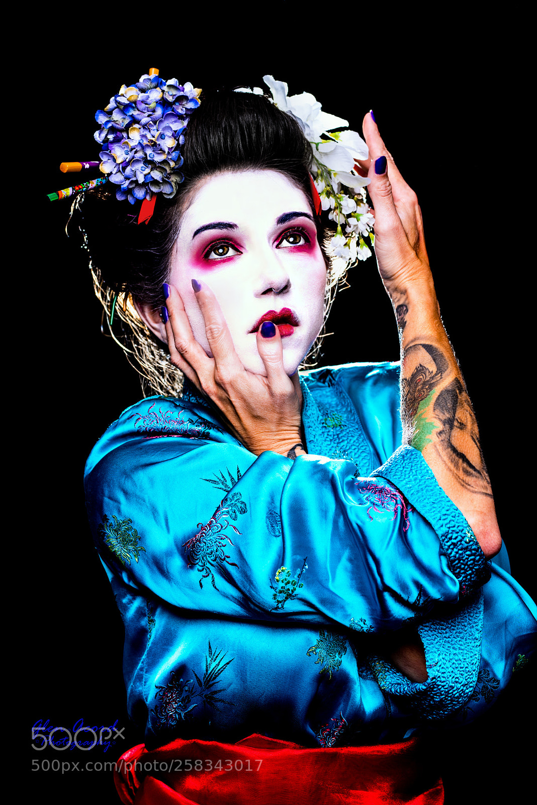 Nikon D750 sample photo. Geisha photography