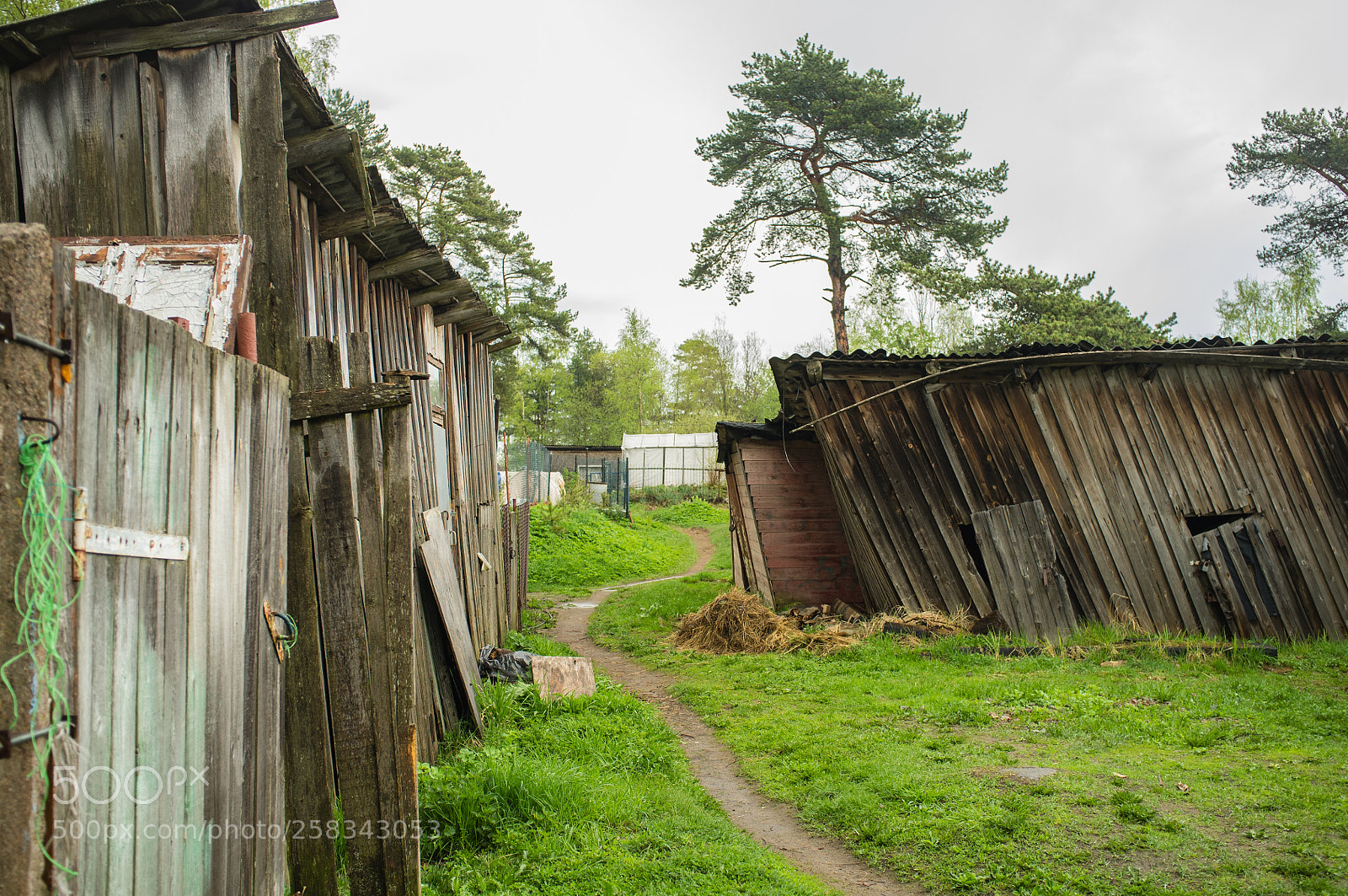 Fujifilm FinePix X100 sample photo. Village on the ladoga photography