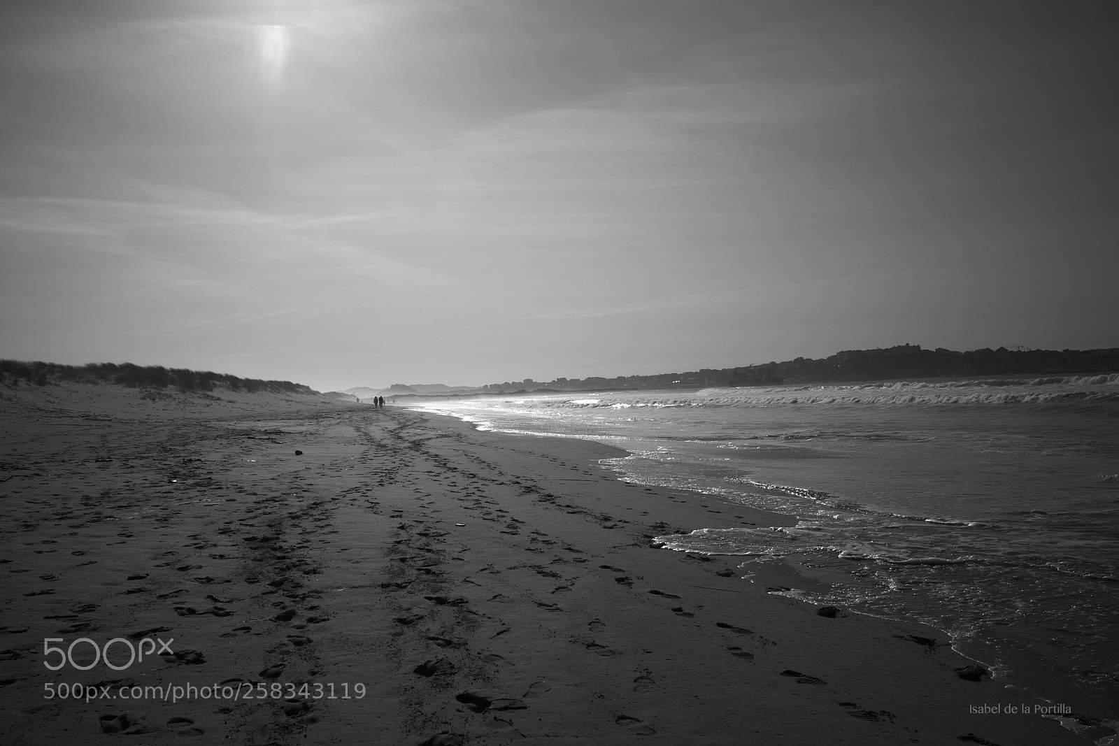Sony a7R II sample photo. First spring walk along photography