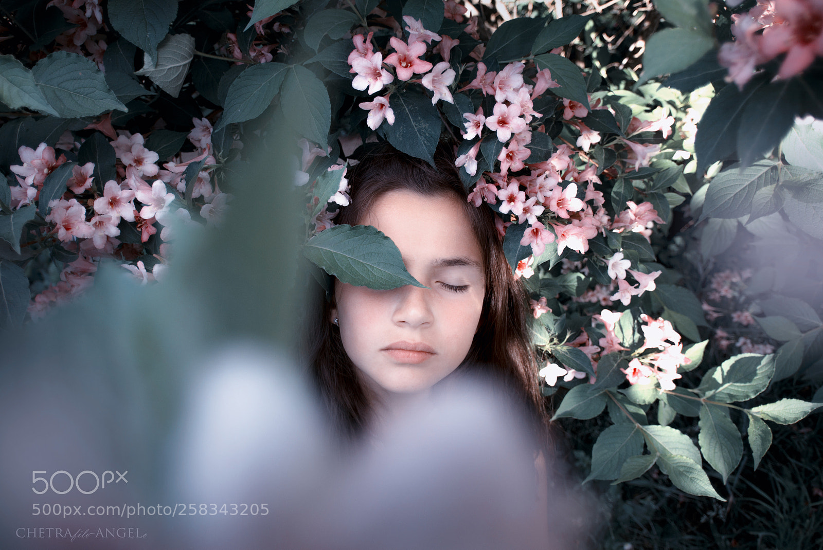 Pentax K-3 II sample photo. Untitled photography