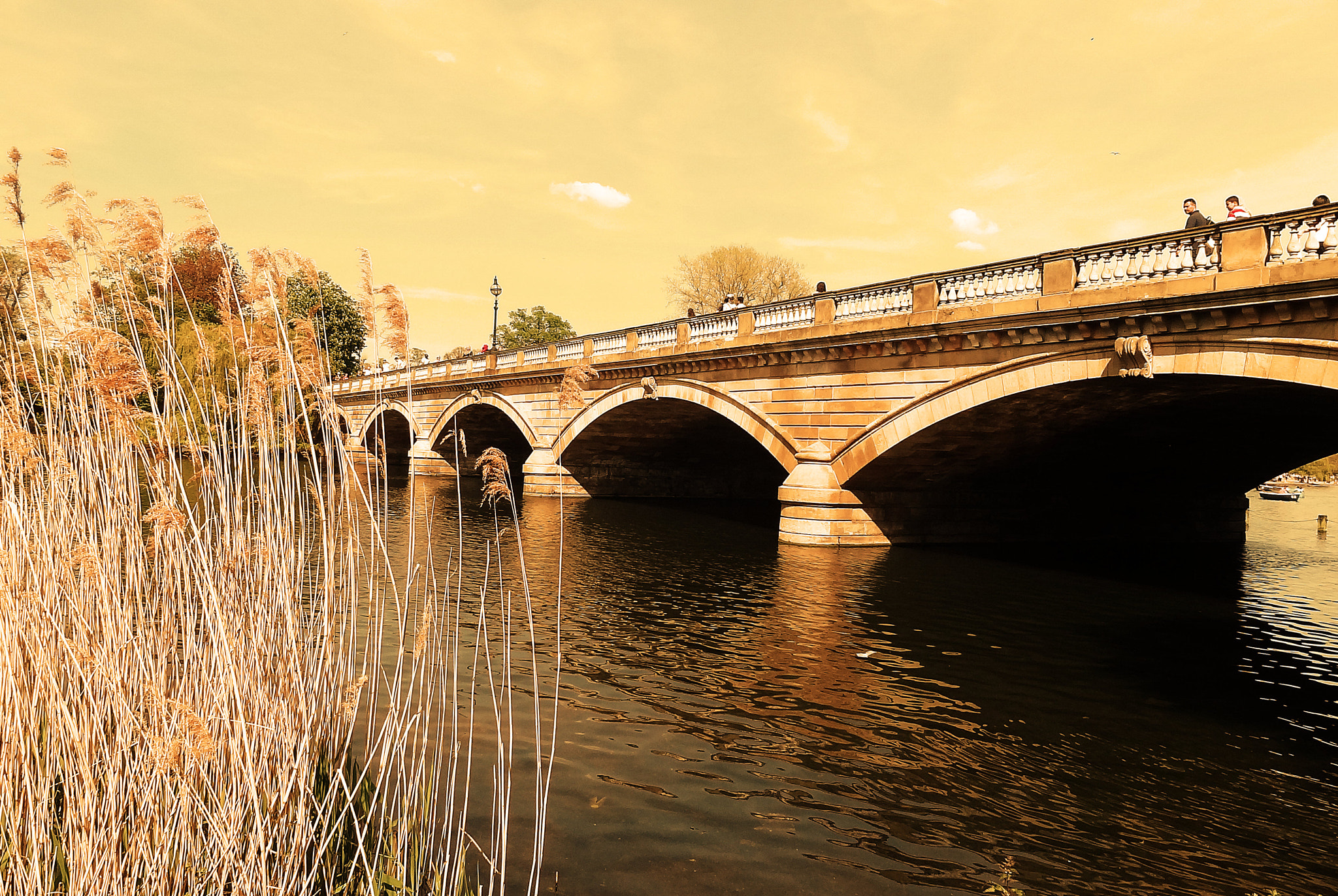 Sony Cyber-shot DSC-HX7V sample photo. Hyde park photography