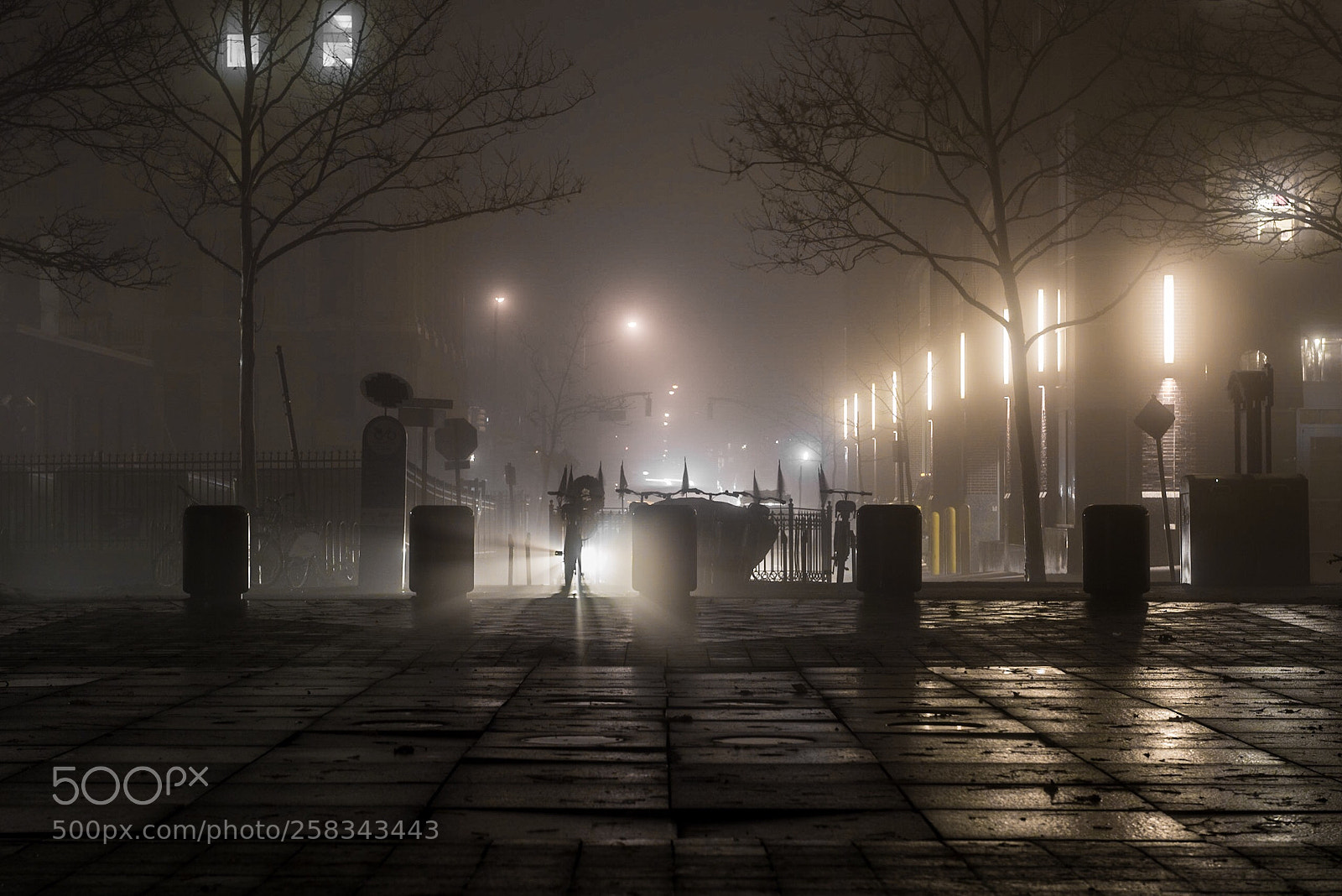 Nikon D810 sample photo. At night photography