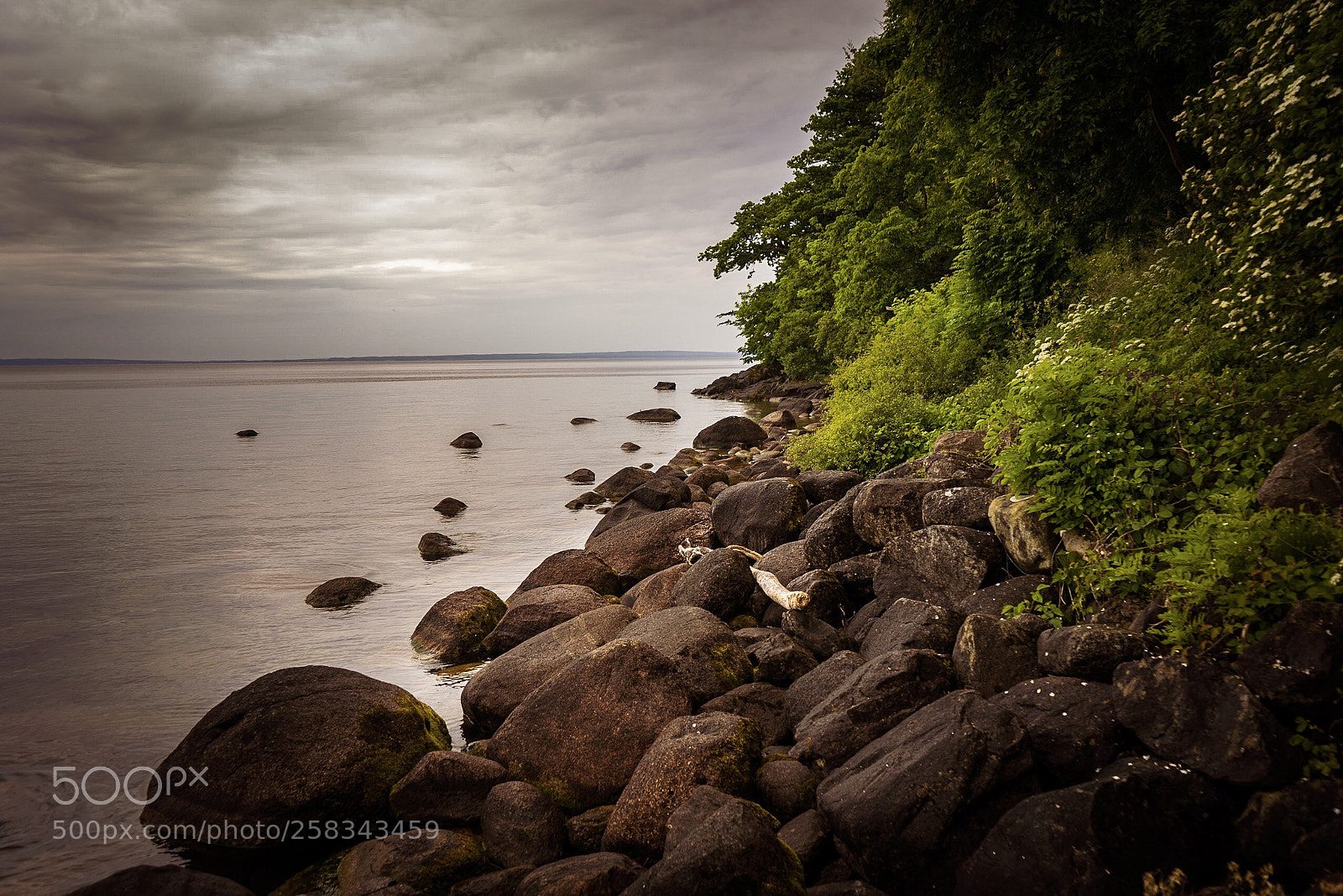 Sony a7R sample photo. Lake  photography