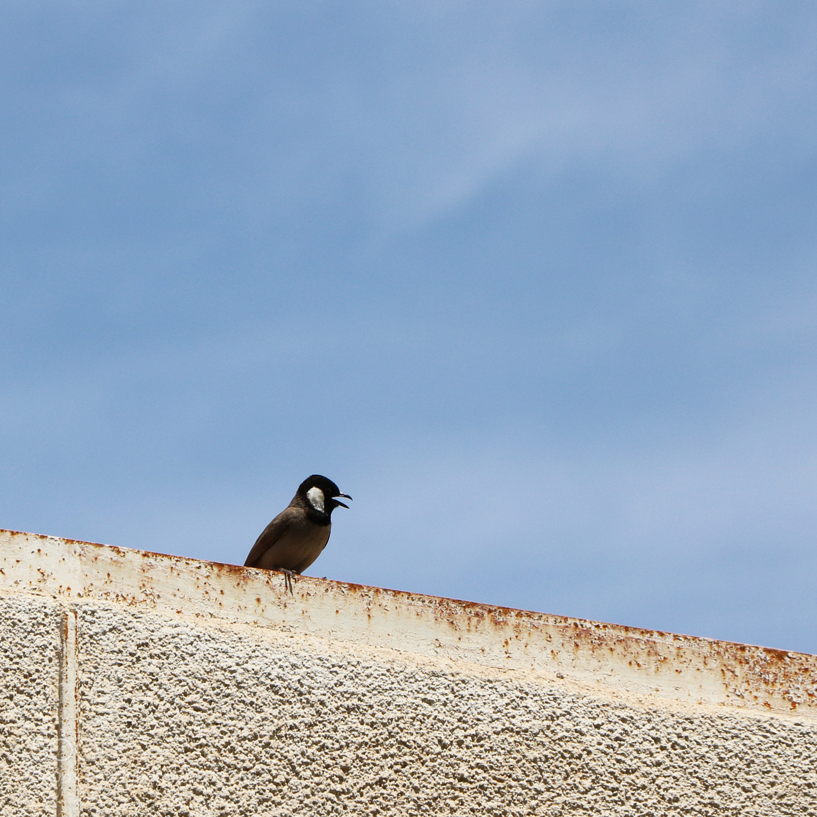Canon EOS 750D (EOS Rebel T6i / EOS Kiss X8i) sample photo. Img photography