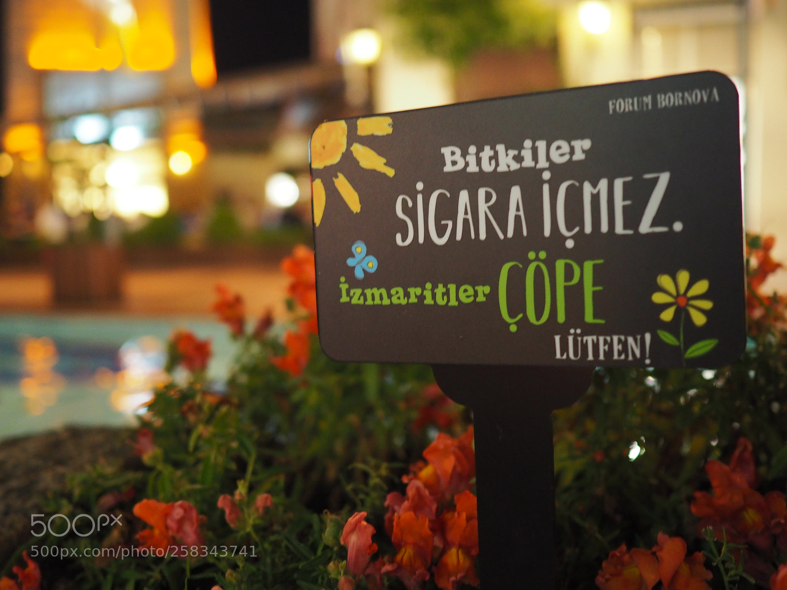 Olympus OM-D E-M10 II sample photo. Flowers do not smoke photography