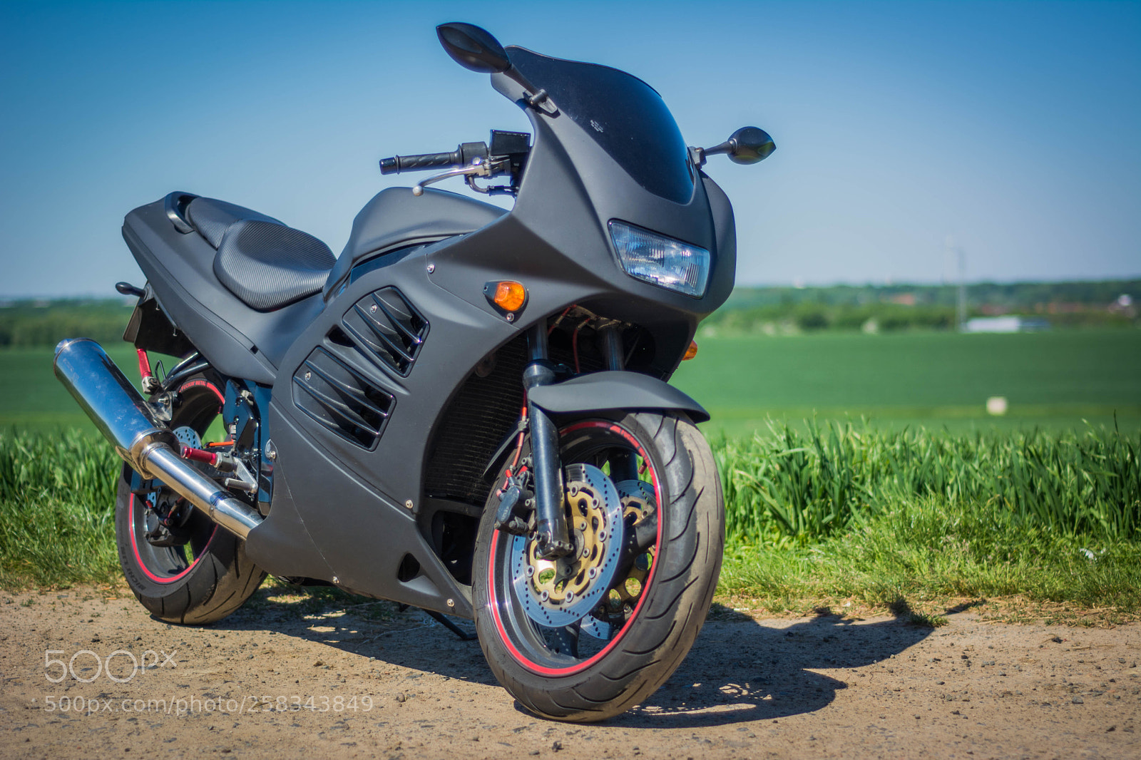 Nikon D5200 sample photo. Schwarze lotus photography