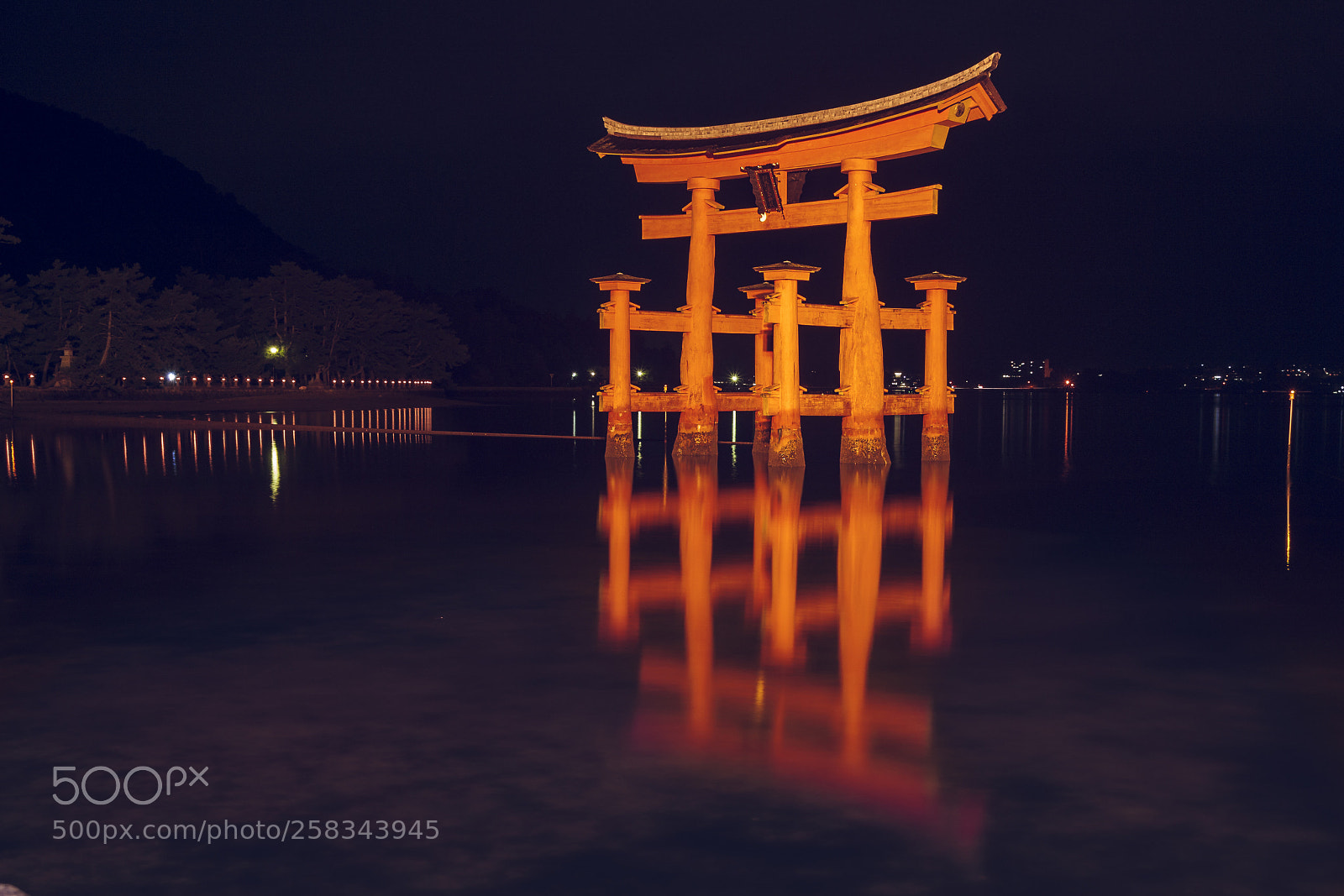 Canon EOS 450D (EOS Rebel XSi / EOS Kiss X2) sample photo. The great torii of photography