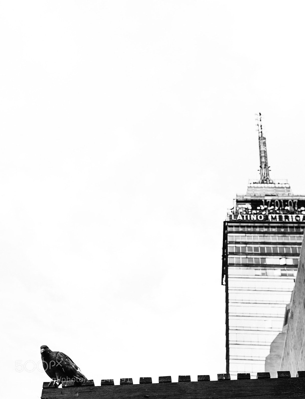 Canon EOS 6D sample photo. Eyes everywhere photography