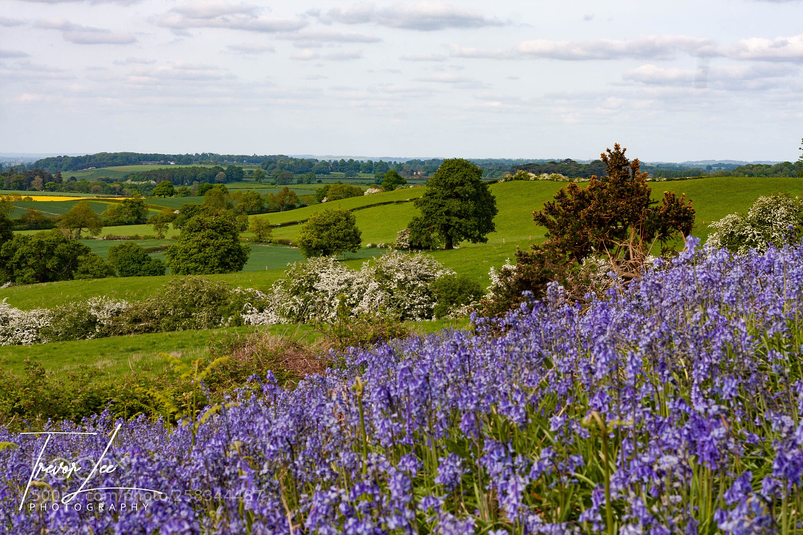 Canon EOS 40D sample photo. England s green and photography