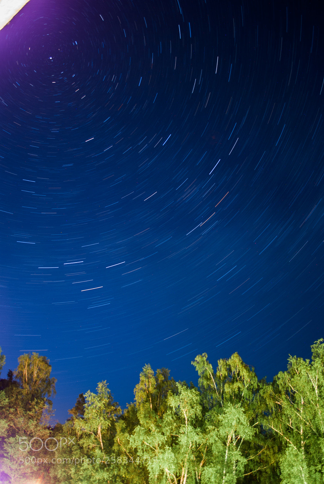 Nikon D3000 sample photo. Starry night in naroch photography