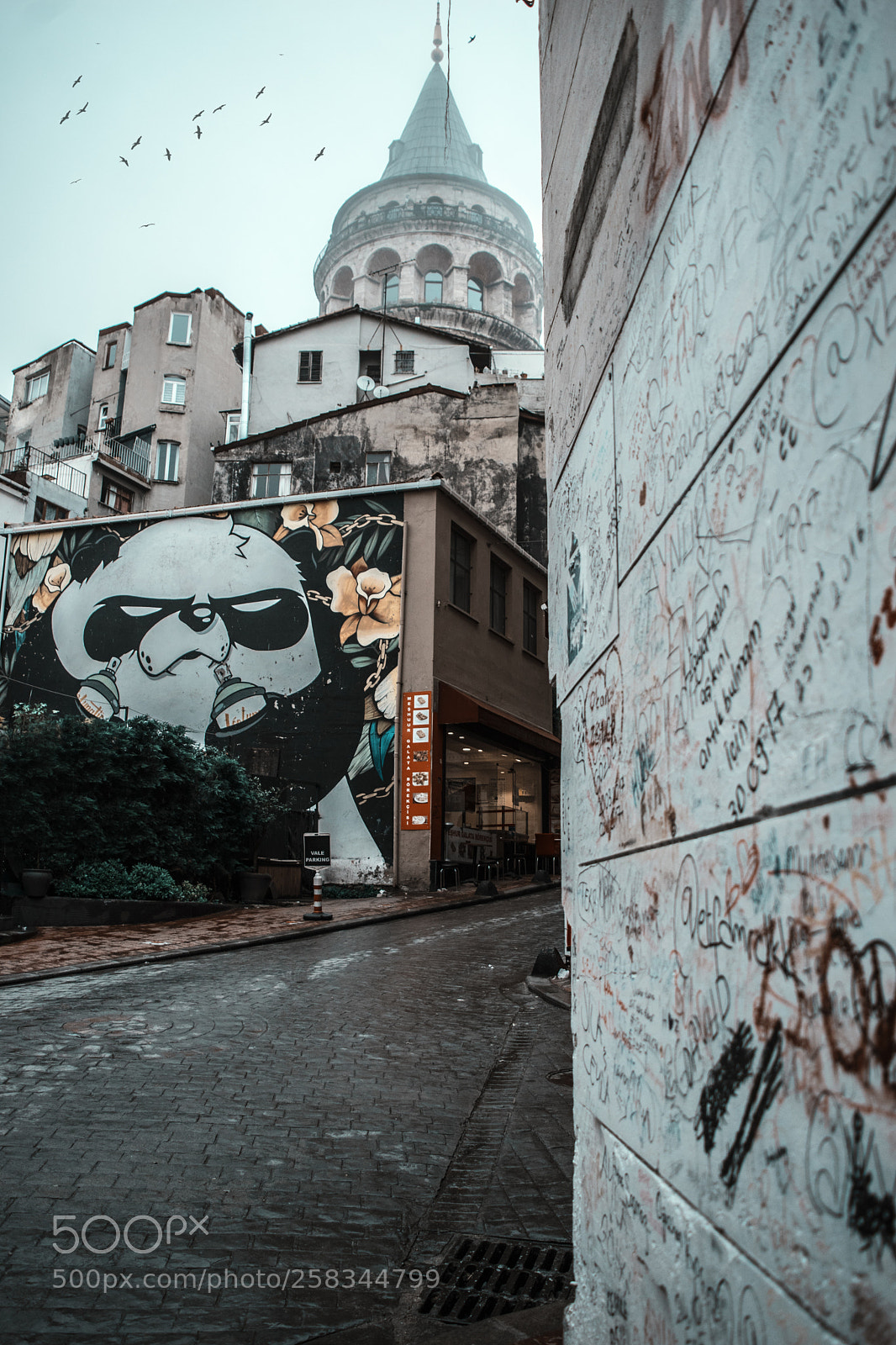 Nikon D5500 sample photo. Untitled photography