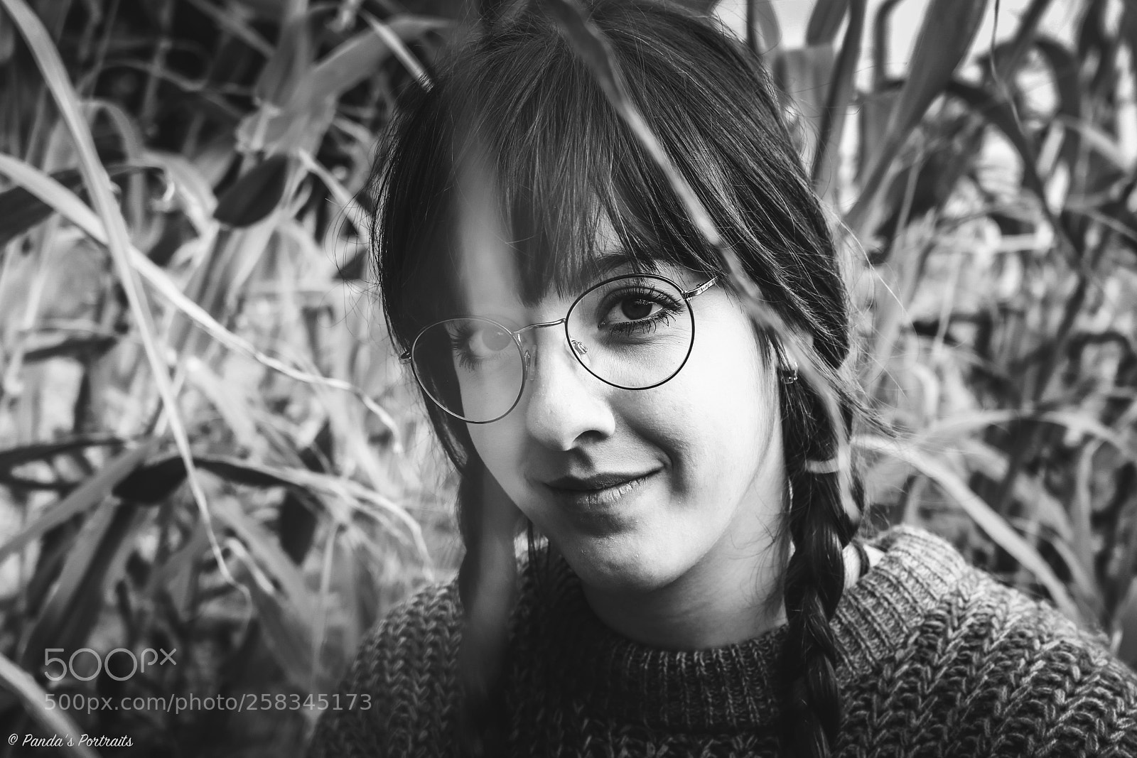 Canon EOS 80D sample photo. Grey nature photography