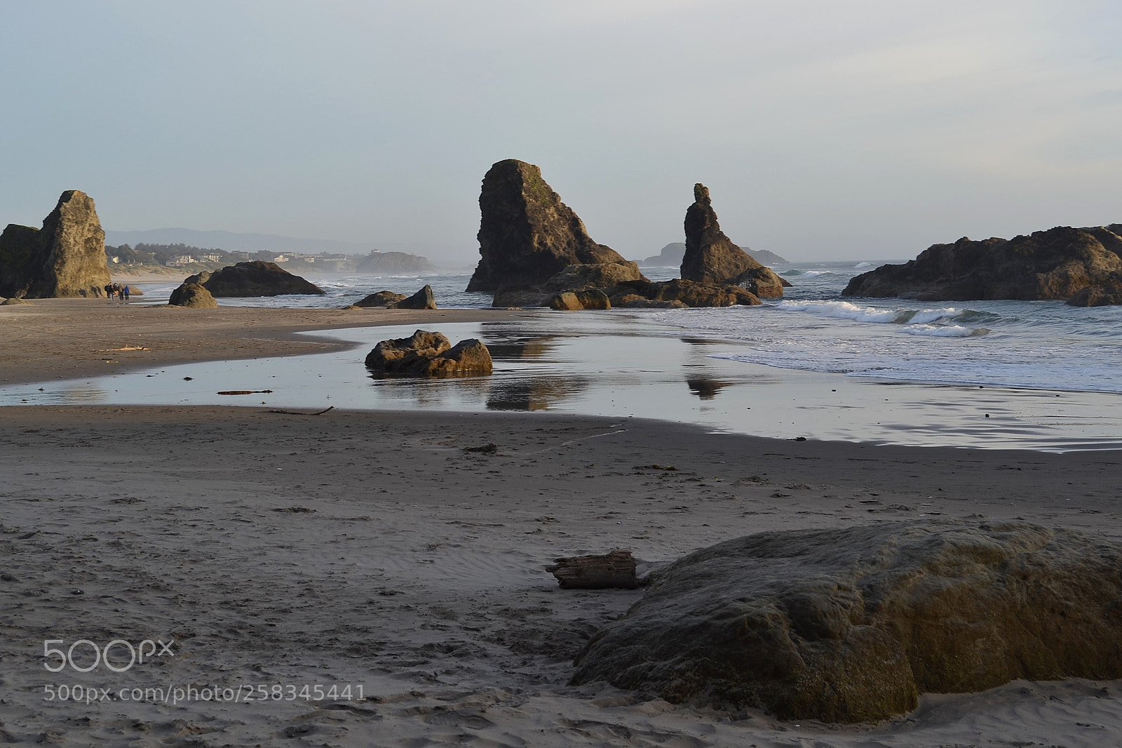 Nikon D3100 sample photo. Oregon photography