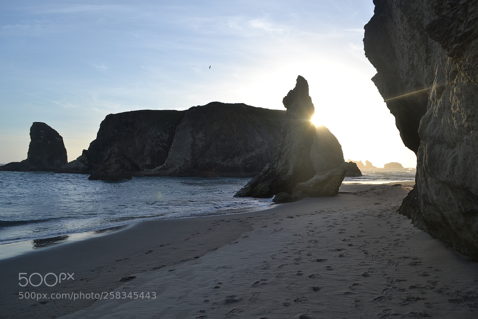 Nikon D3100 sample photo. Oregon photography