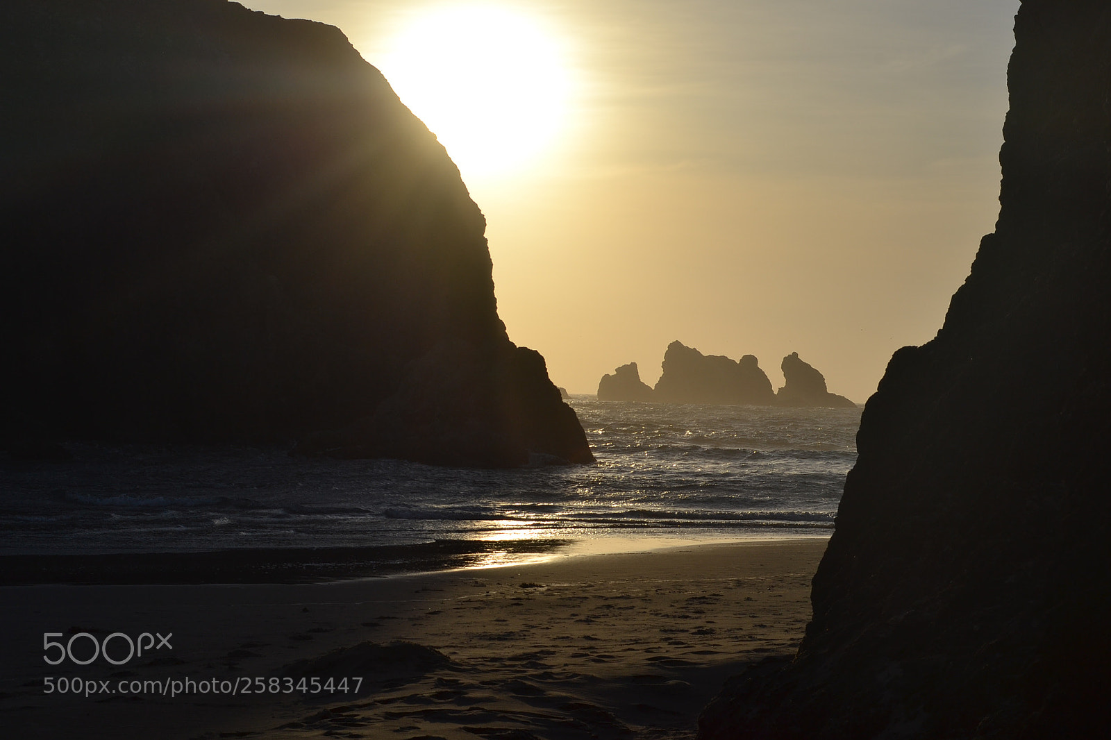 Nikon D3100 sample photo. Oregon photography