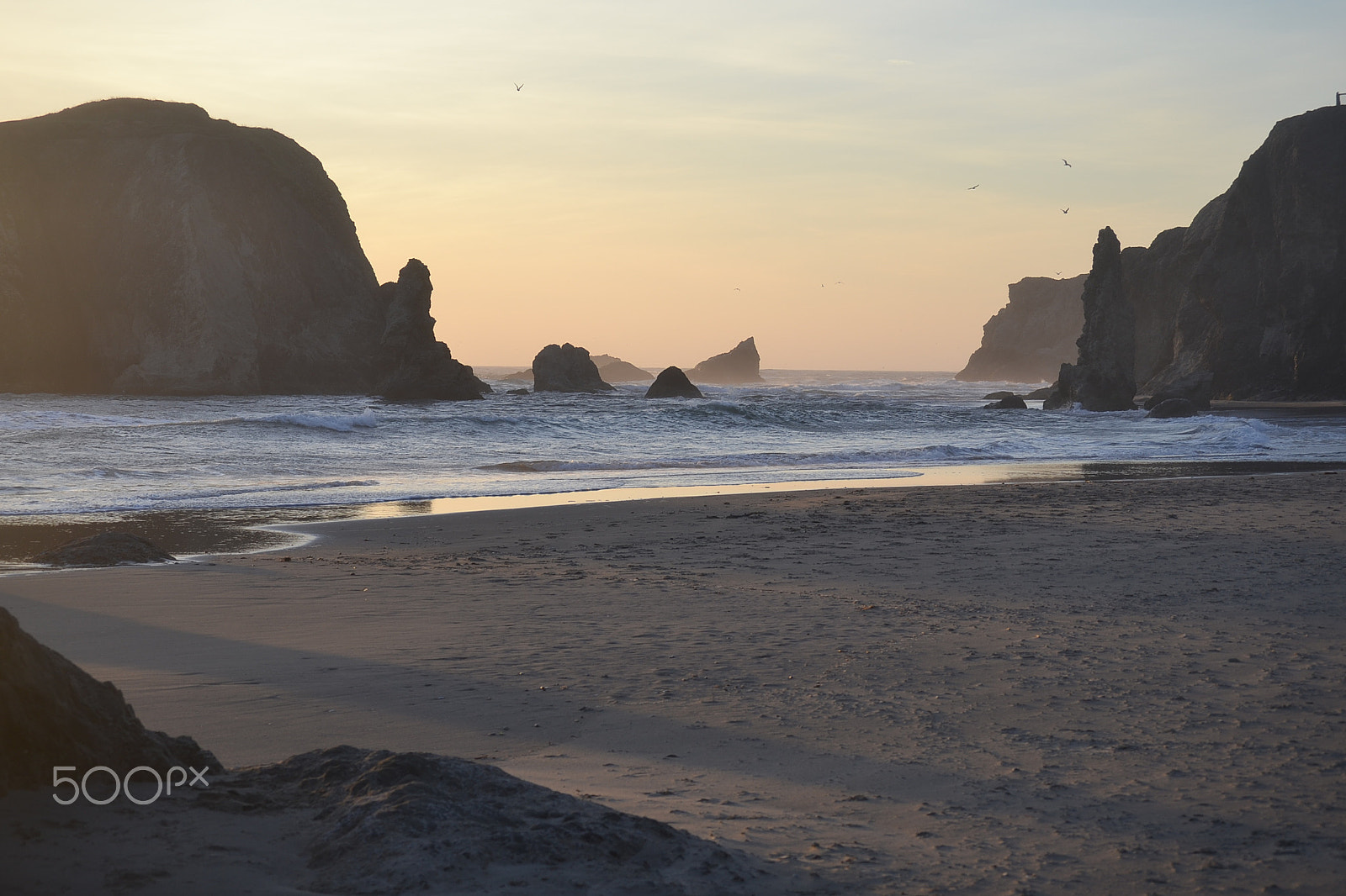Nikon D3100 sample photo. Oregon photography