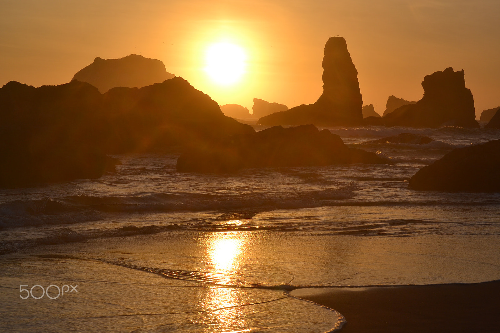 Nikon D3100 sample photo. Oregon photography