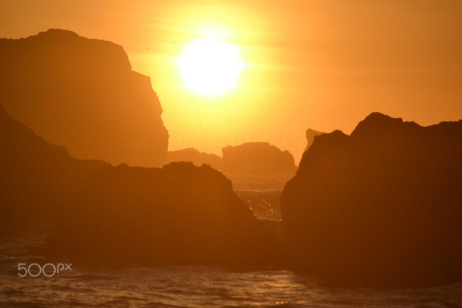 Nikon D3100 sample photo. Oregon photography