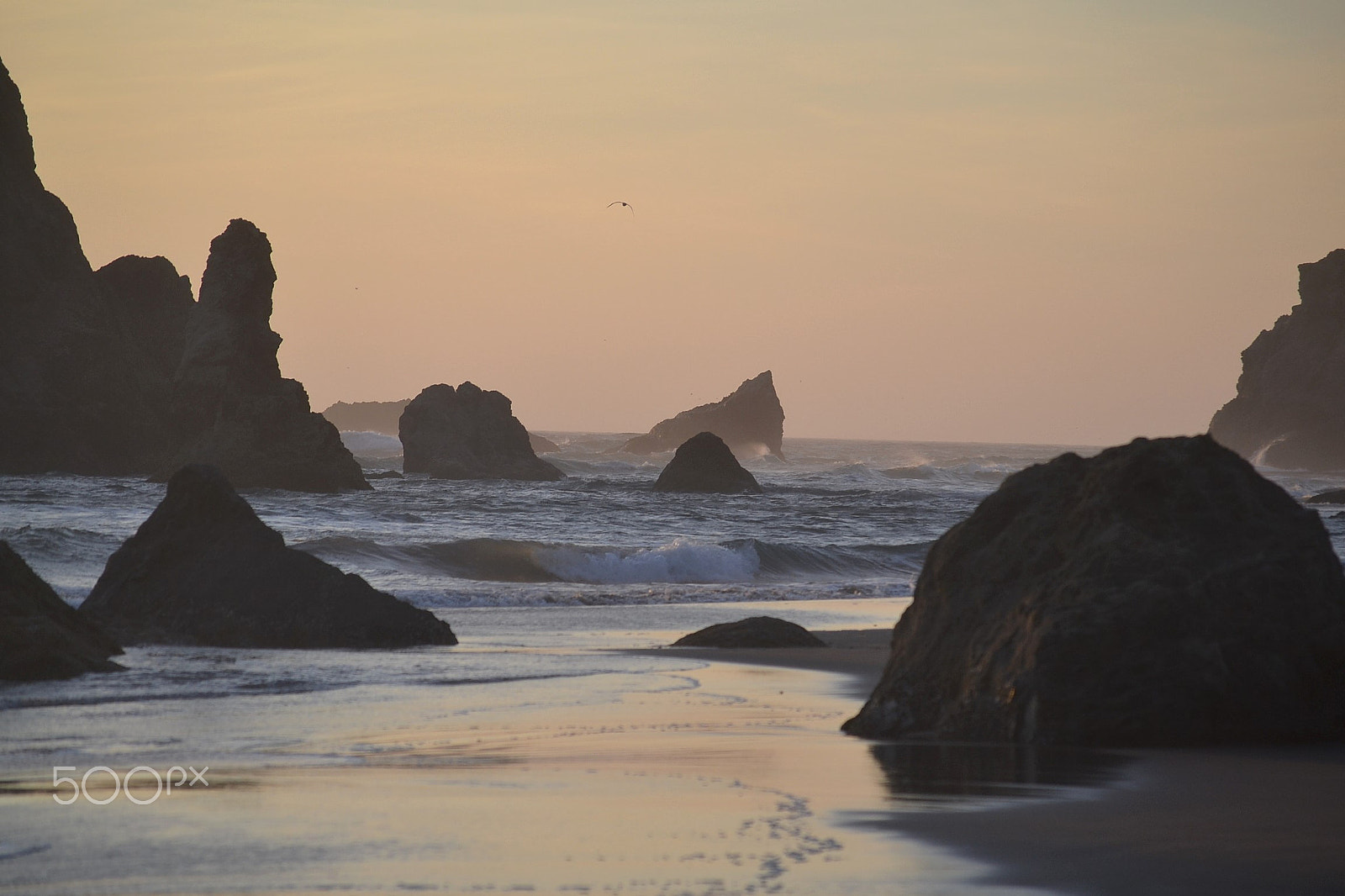 Nikon D3100 sample photo. Oregon photography