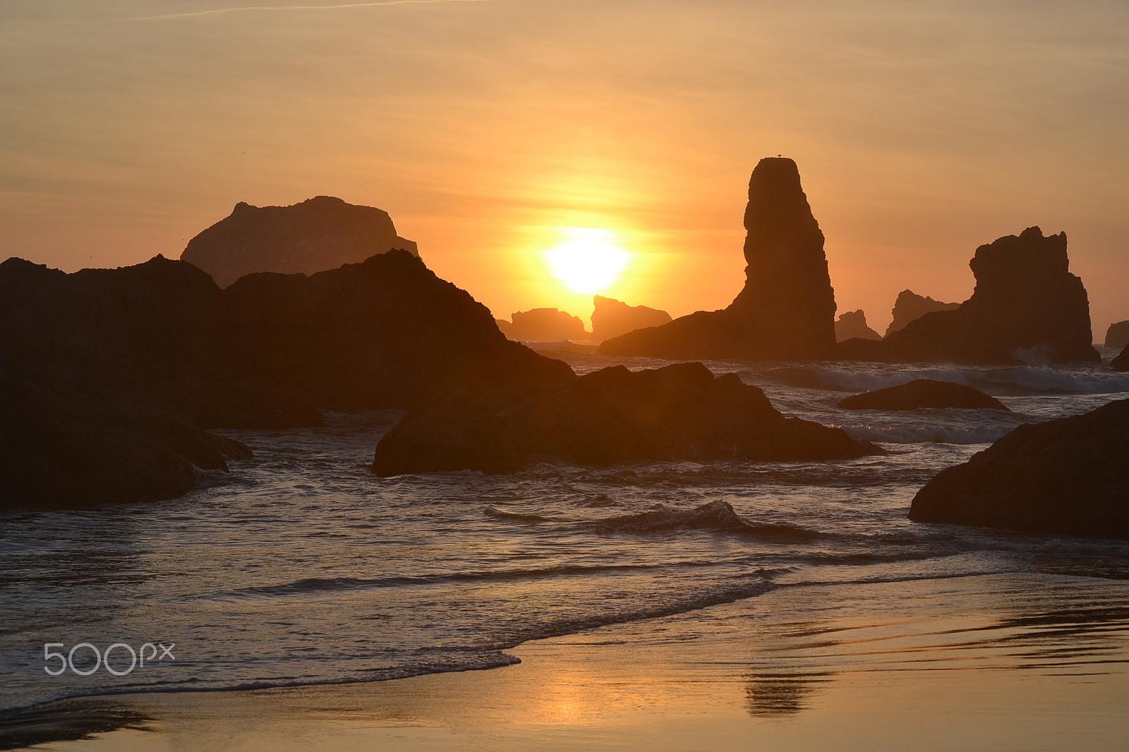 Nikon D3100 sample photo. Oregon photography