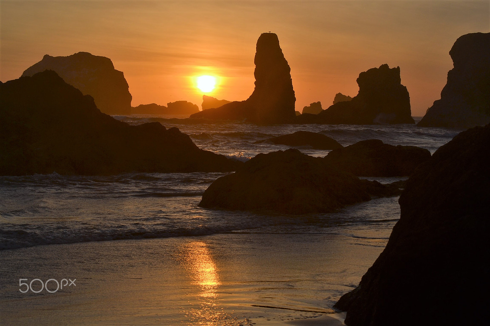 Nikon D3100 sample photo. Oregon photography