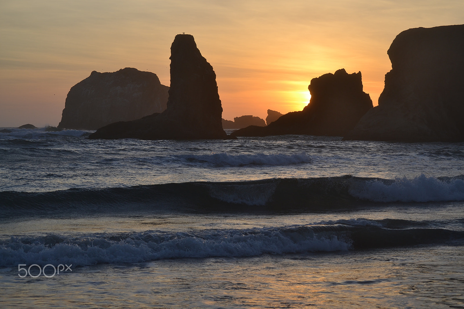 Nikon D3100 sample photo. Oregon photography