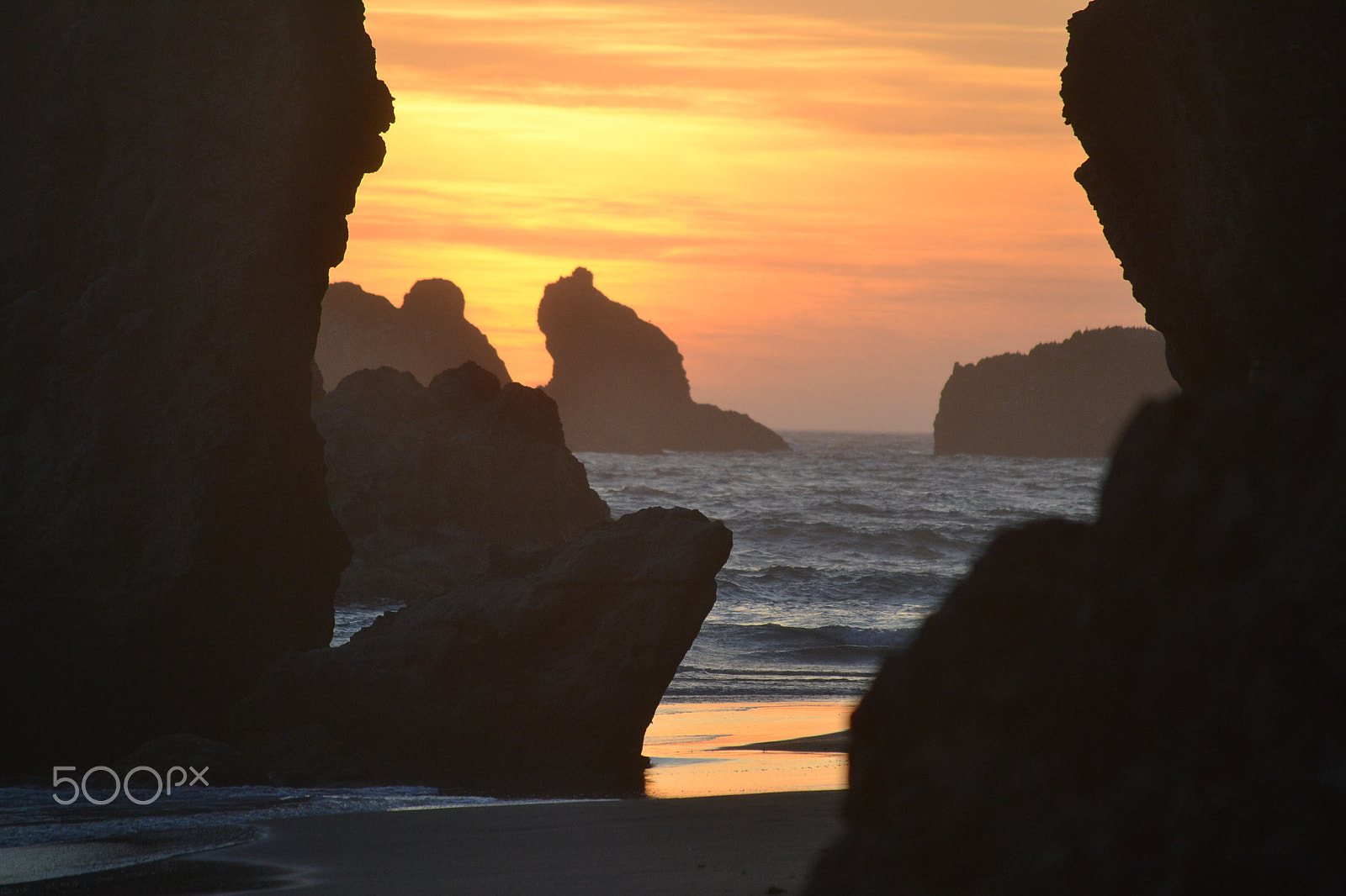 Nikon D3100 sample photo. Oregon photography
