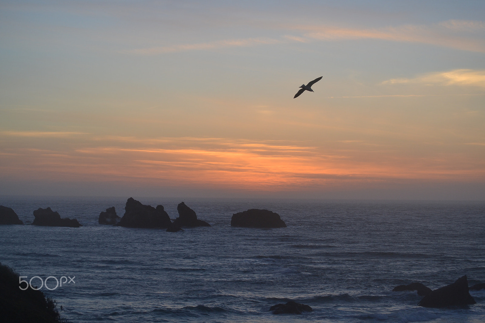 Nikon D3100 sample photo. Oregon photography