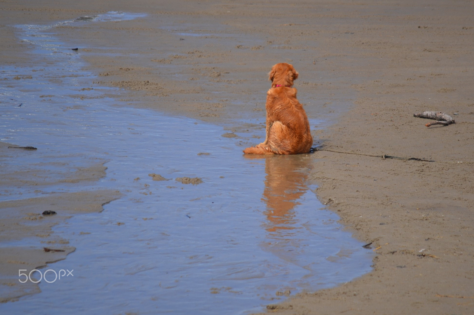 Nikon D3100 sample photo. Oregon photography