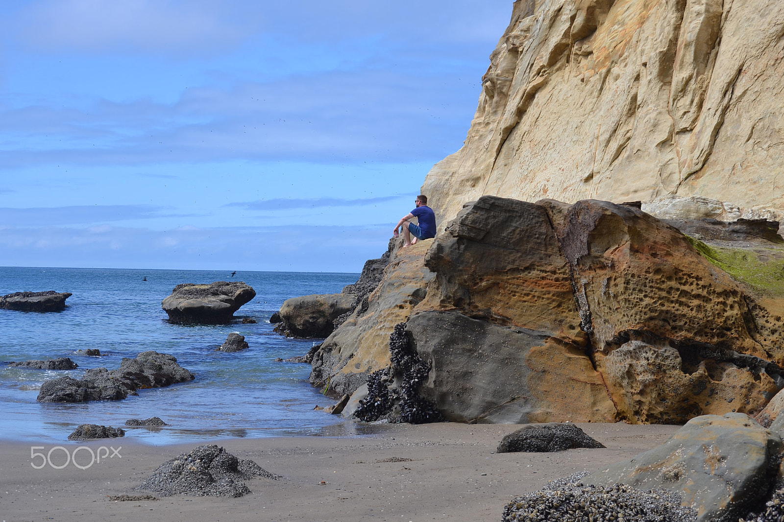 Nikon D3100 sample photo. Oregon photography