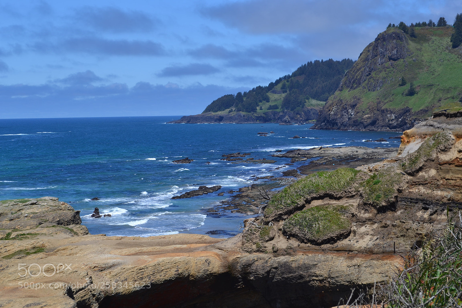 Nikon D3100 sample photo. Oregon photography