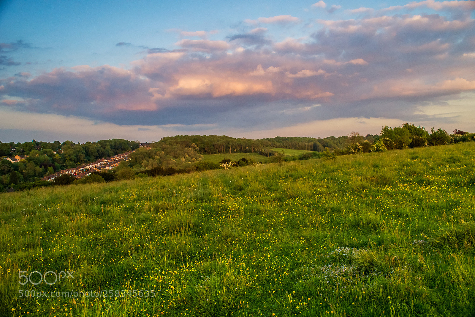Nikon D3100 sample photo. Farthing downs photography