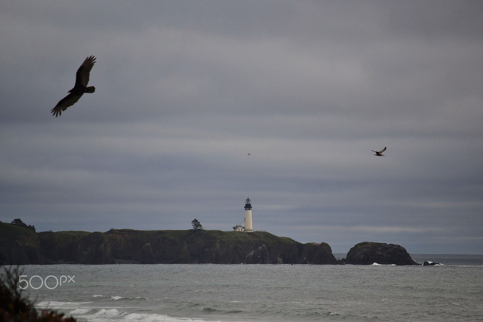 Nikon D3100 sample photo. Oregon photography