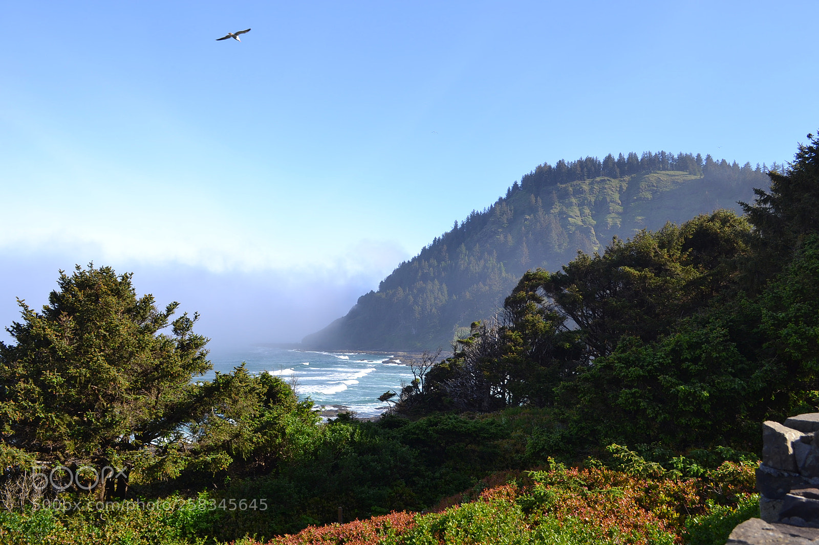 Nikon D3100 sample photo. Oregon photography