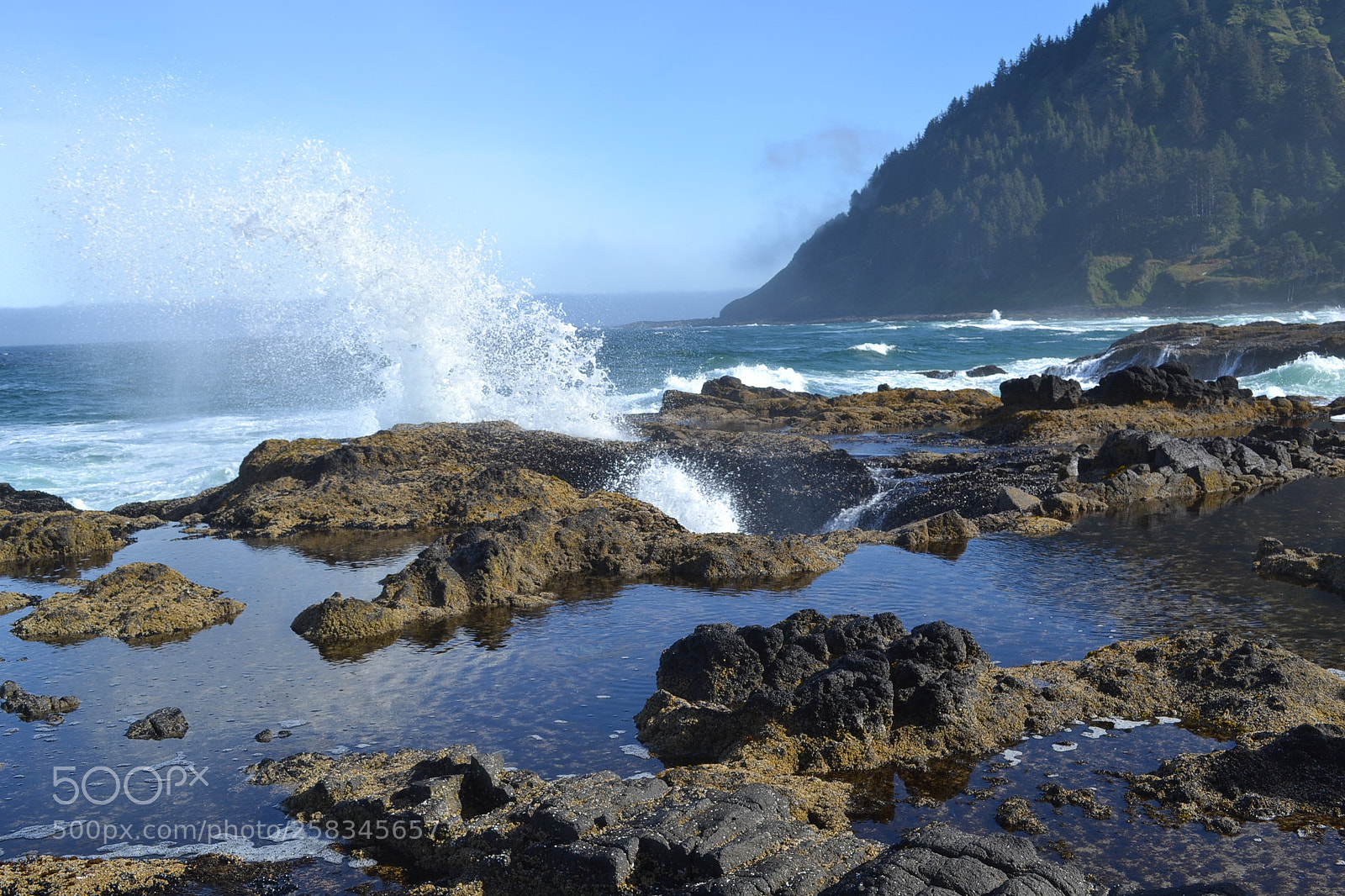 Nikon D3100 sample photo. Oregon photography