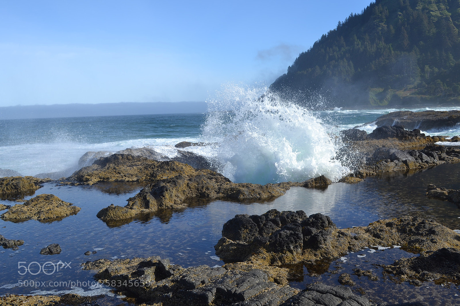 Nikon D3100 sample photo. Oregon photography
