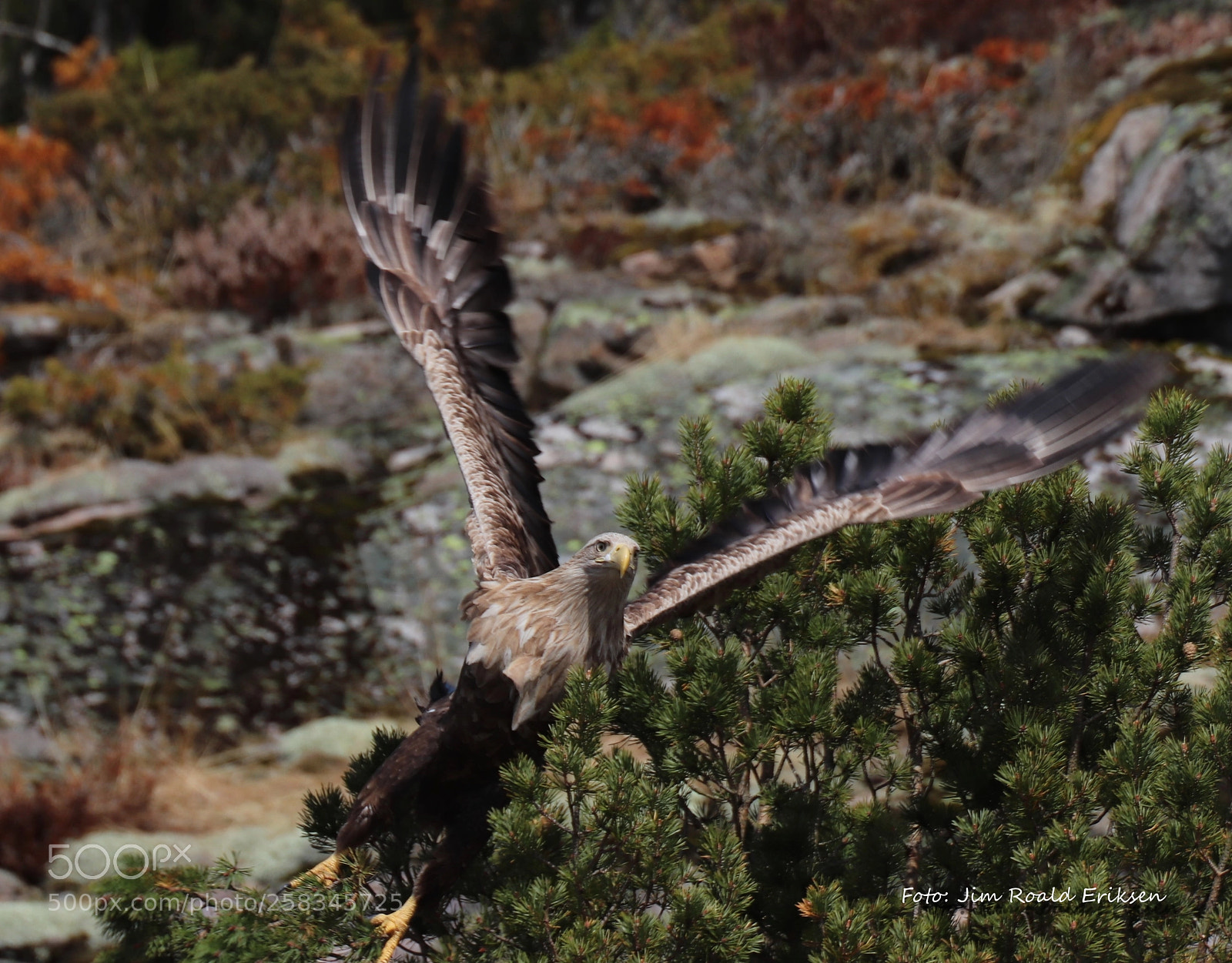 Canon EOS 77D (EOS 9000D / EOS 770D) sample photo. Untitled photography