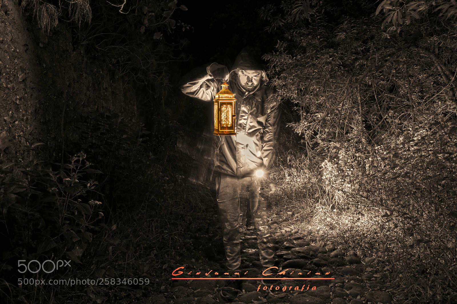 Nikon D5300 sample photo. Terror path photography