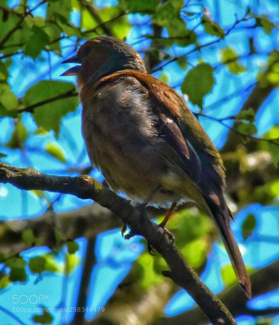 Nikon D3400 sample photo. Untitled photography
