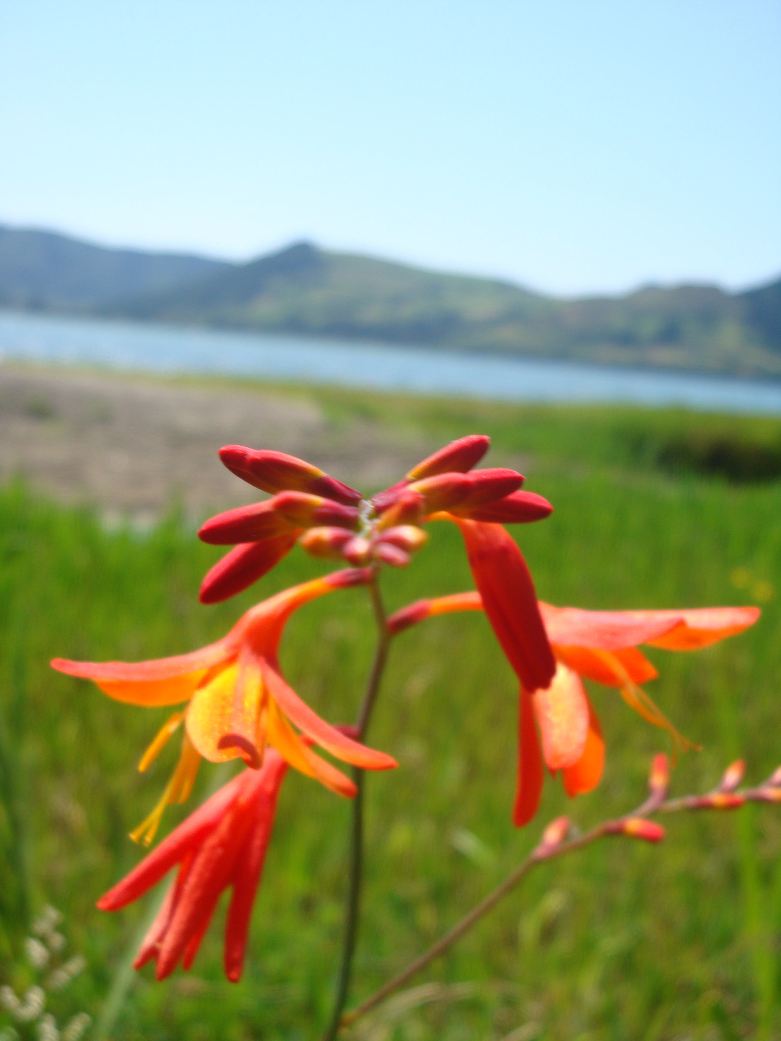 Sony Cyber-shot DSC-W150 sample photo. 1279.jpg photography