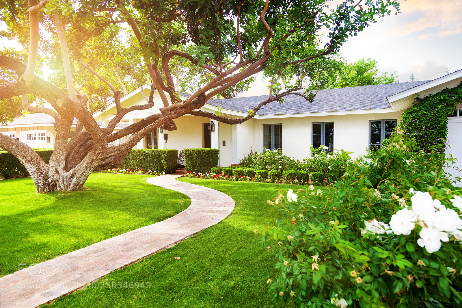 Canon EOS 5D Mark II sample photo. Temecula property management | murrieta photography