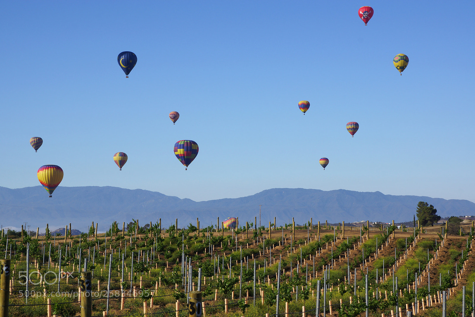 Sony SLT-A77 sample photo. Temecula property management | murrieta photography