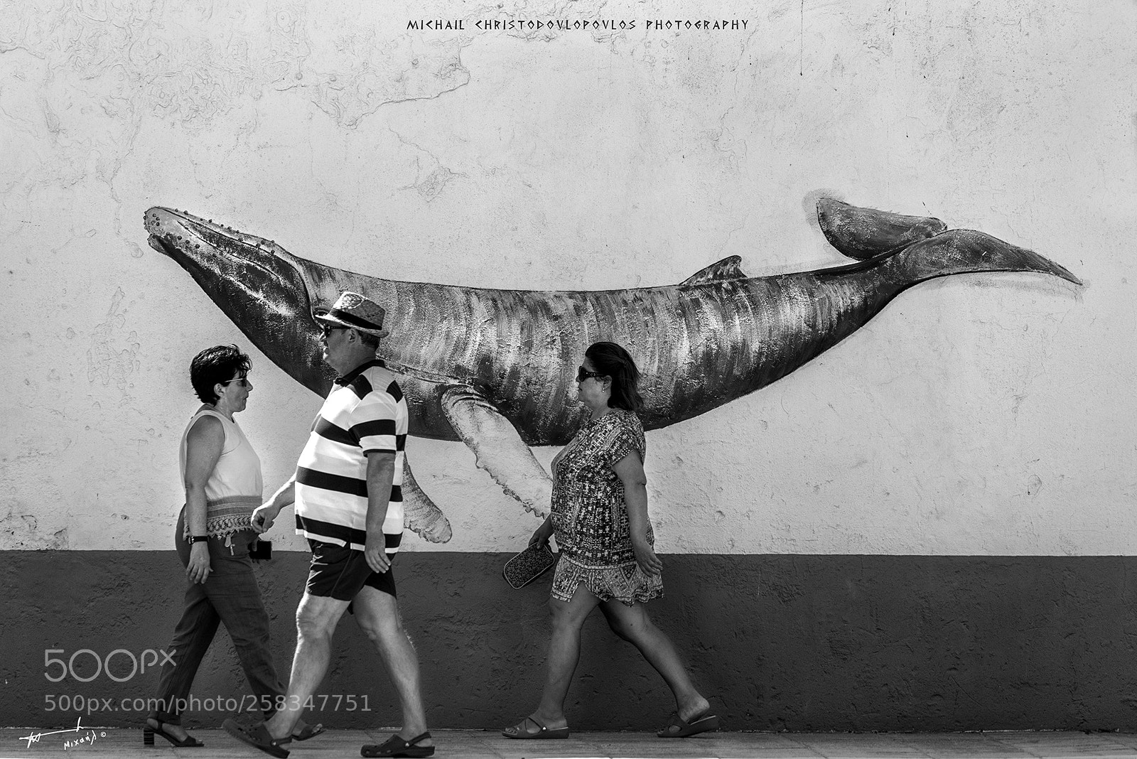 Nikon D810 sample photo. Puerto deportivo sancti petri photography